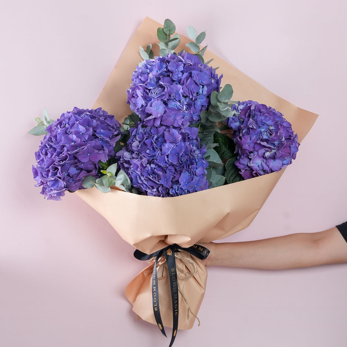 
              Purple Hydrangea