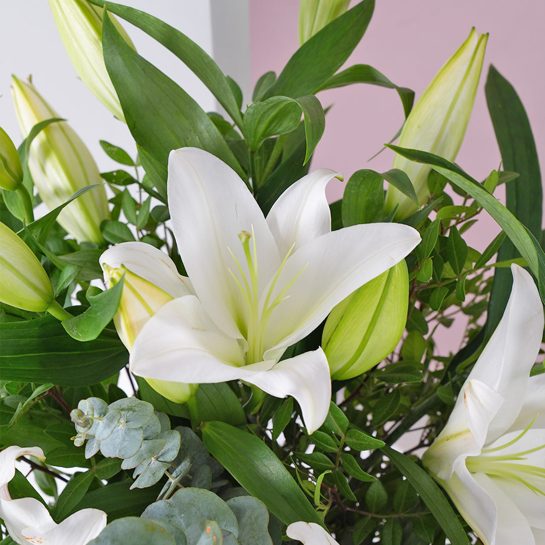 
              White Lily